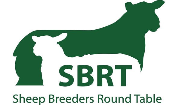 Sheep Breeders Round Table logo - silhouettes of two sheep in green and white.